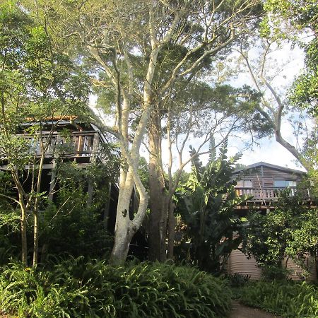 Treehouse Cottage The Crags Bagian luar foto