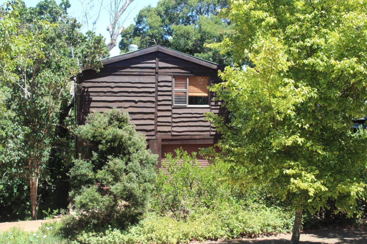 Treehouse Cottage The Crags Bagian luar foto