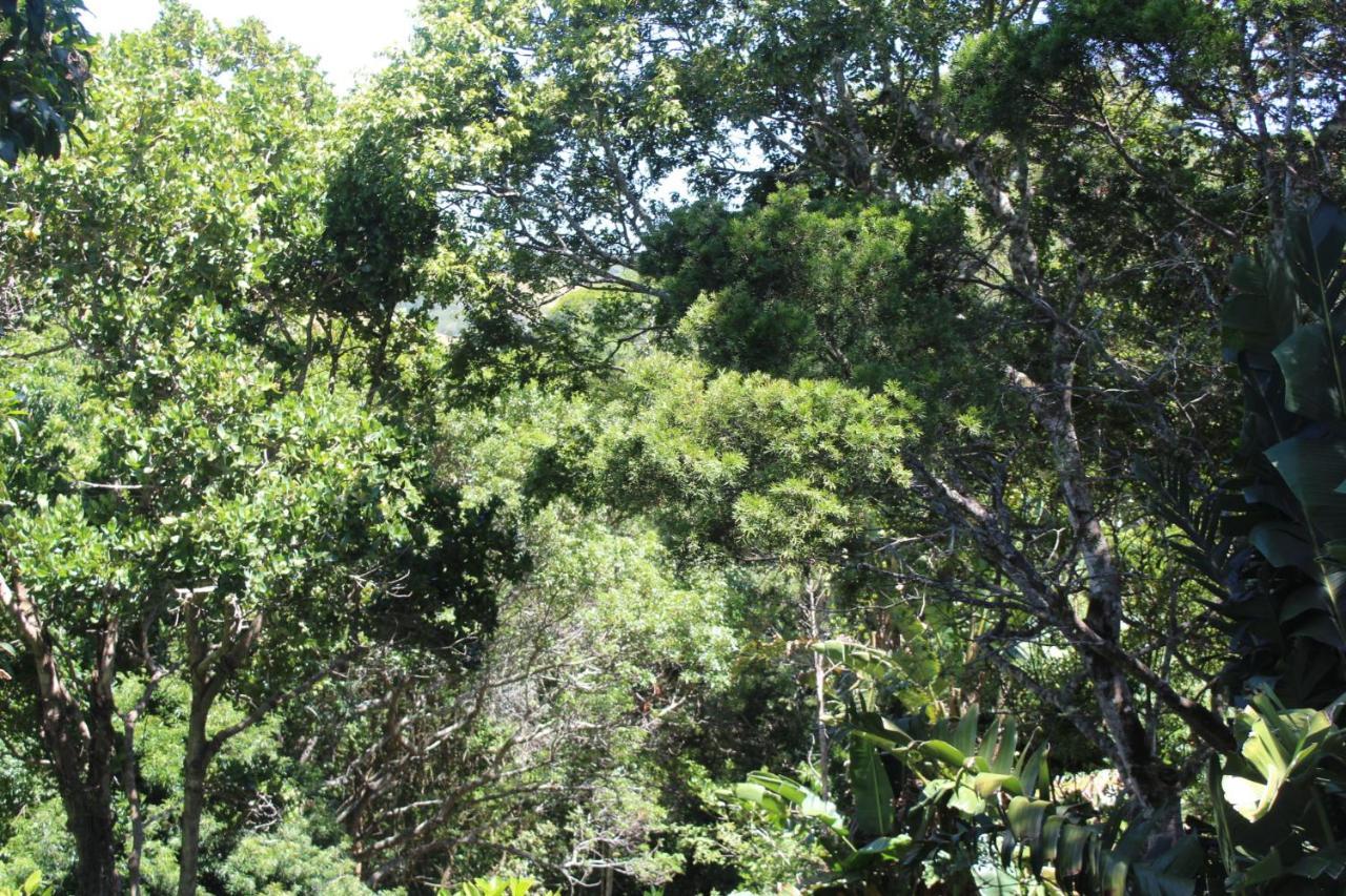 Treehouse Cottage The Crags Bagian luar foto