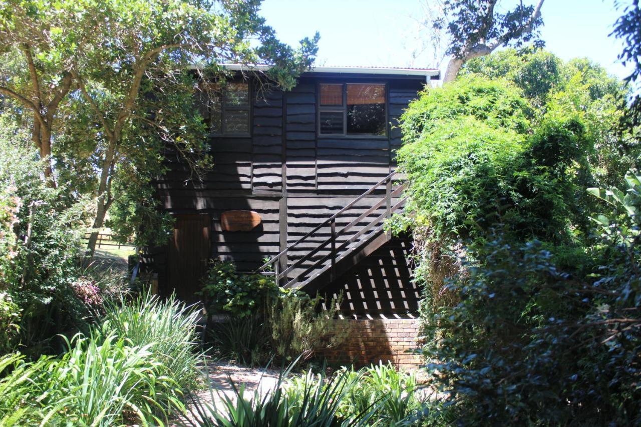 Treehouse Cottage The Crags Bagian luar foto