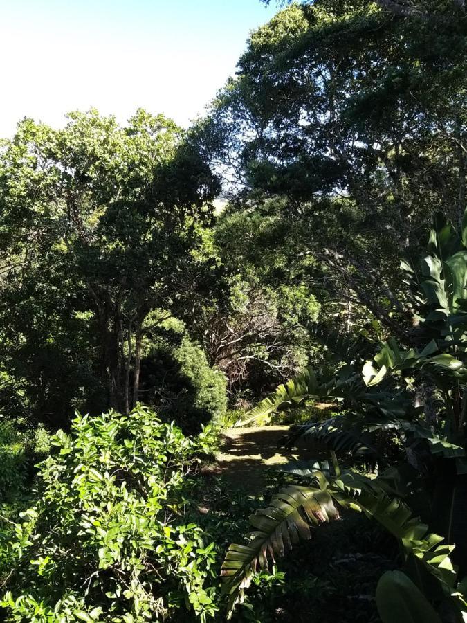Treehouse Cottage The Crags Bagian luar foto