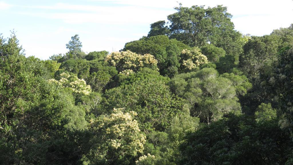 Treehouse Cottage The Crags Ruang foto