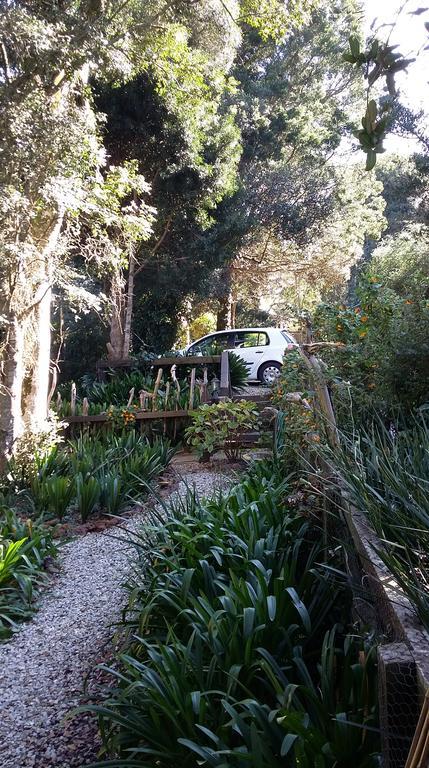 Treehouse Cottage The Crags Bagian luar foto