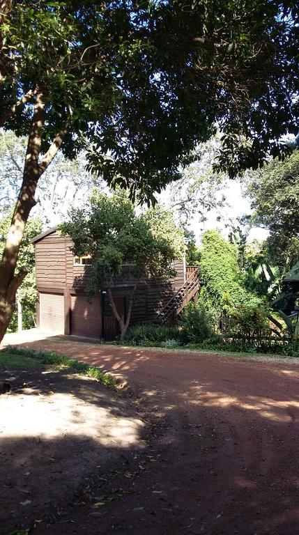 Treehouse Cottage The Crags Bagian luar foto