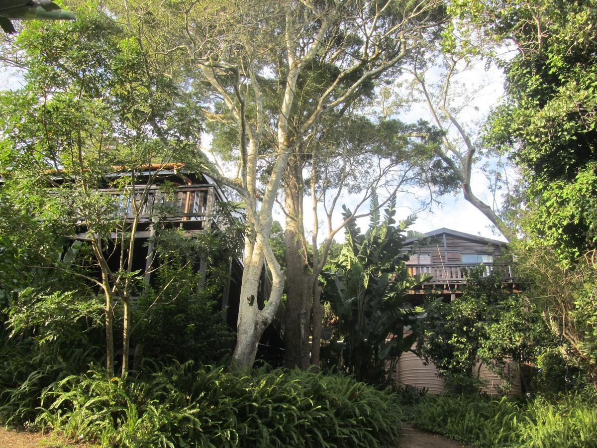 Treehouse Cottage The Crags Bagian luar foto